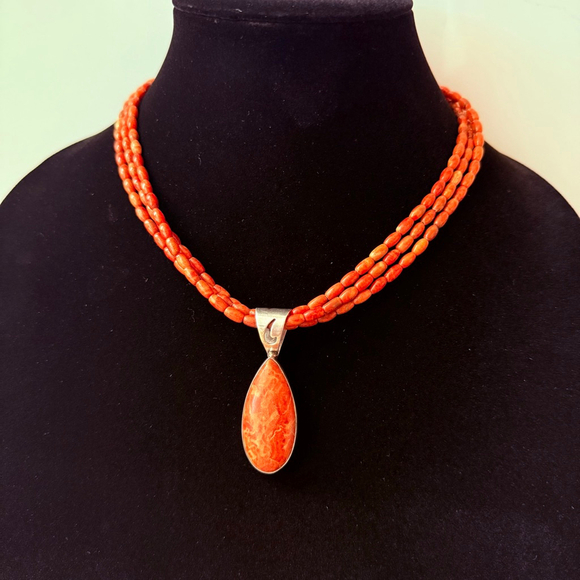 Jay King Southwestern Red Sponge Coral DTR Sterling Silver 925 Pendant Necklace - Picture 8 of 9